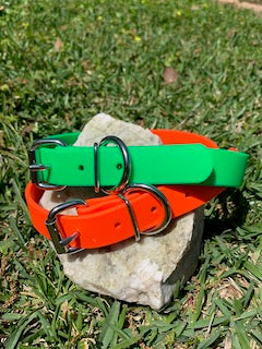 Champ BioThane 1 Inch Buckle Collar - 20, 22, 24